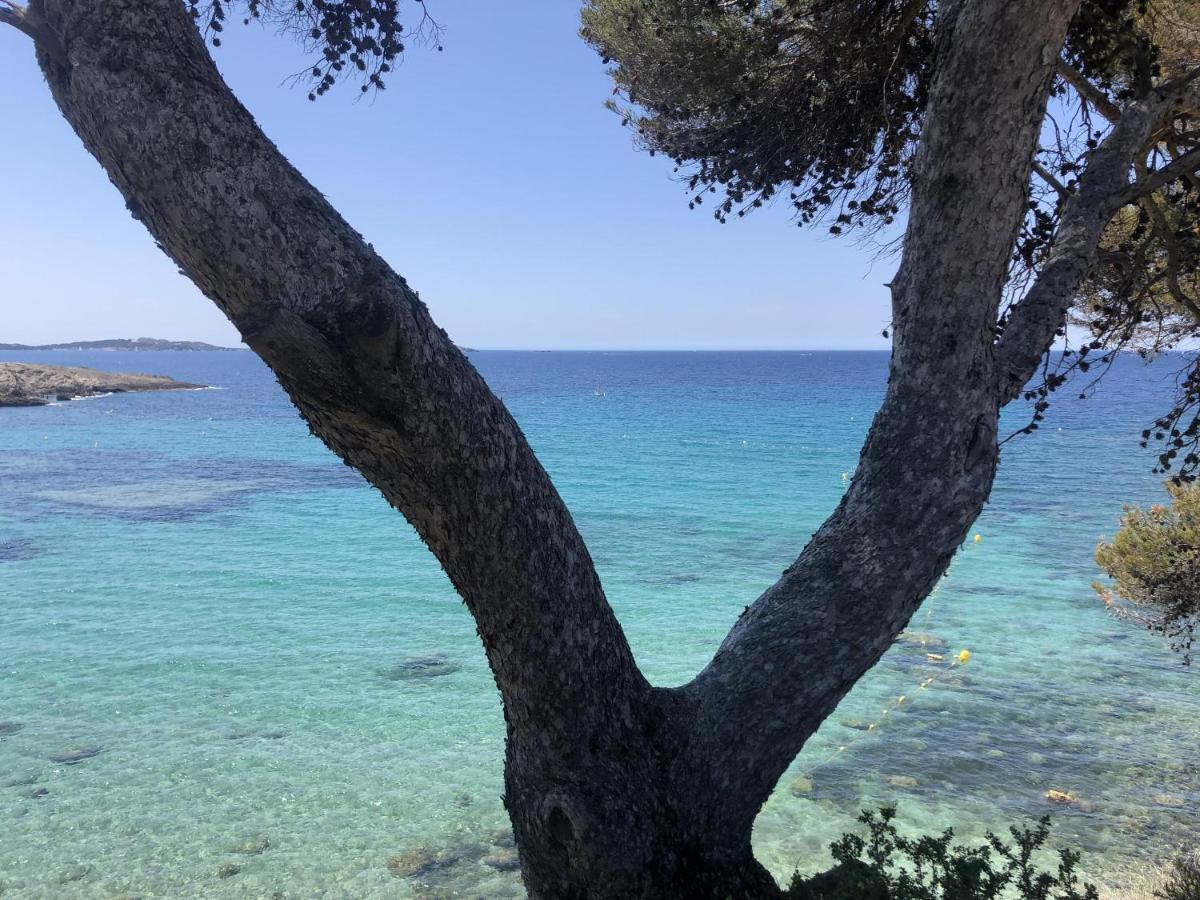 Les Baux 2 Sanary Sur Mer Экстерьер фото